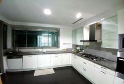 The Light @ Cairnhill (D9), Condominium #597732911